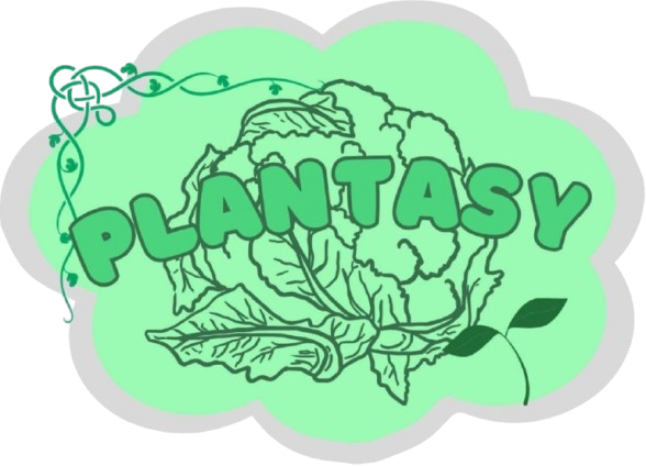 Website Logo